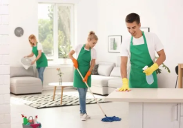 Customer Reviews: What Denver Residents Are Saying About Their Maid Services