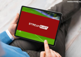 Experience UFC Like Never Before with StreamEast