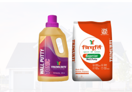 How to Choose the Right Wall Putty for Every Type of Wall Surface