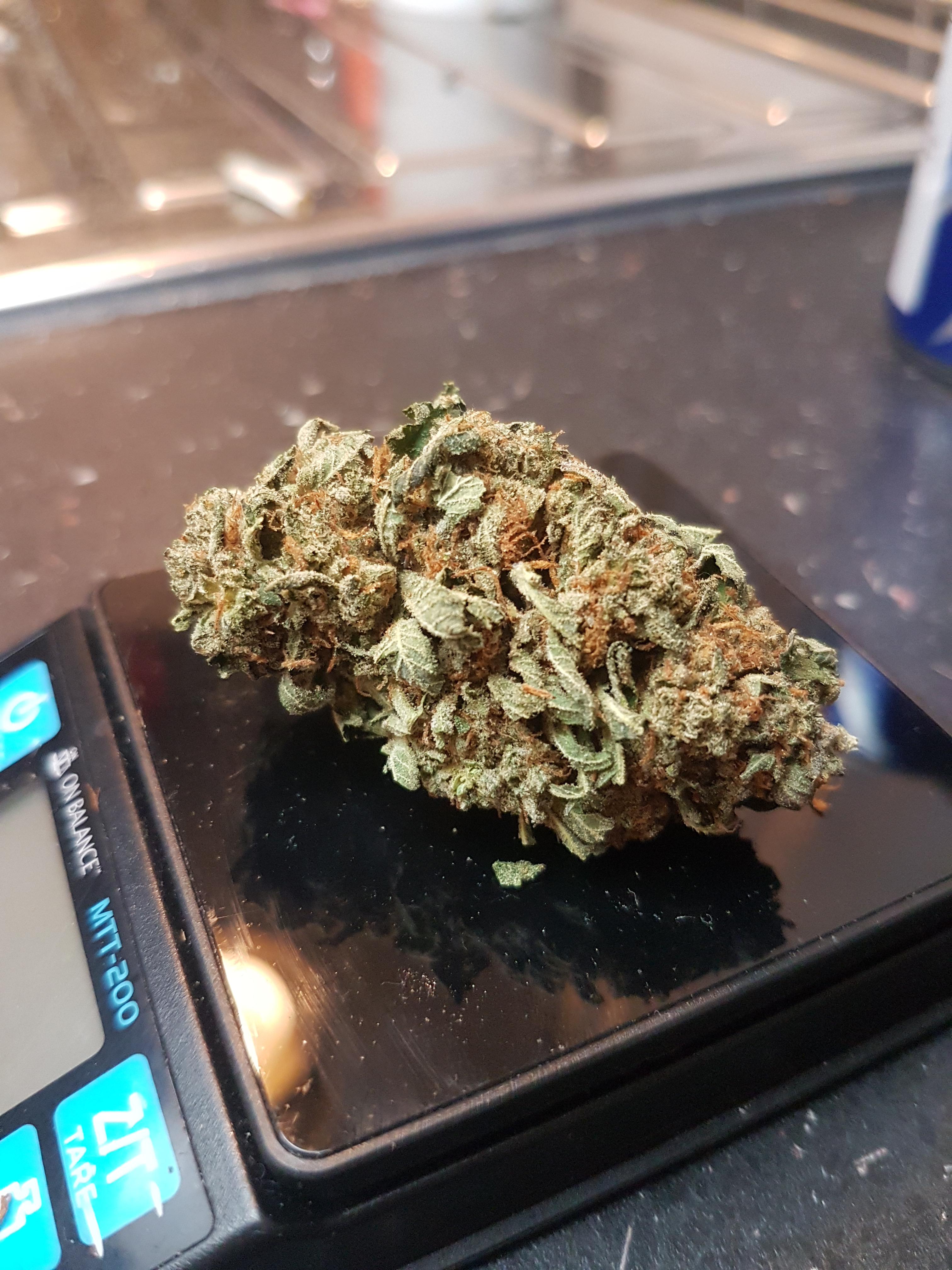 Canada's Biggest Mail-order Cannabis Store Better On the web Dispensary in the Canada