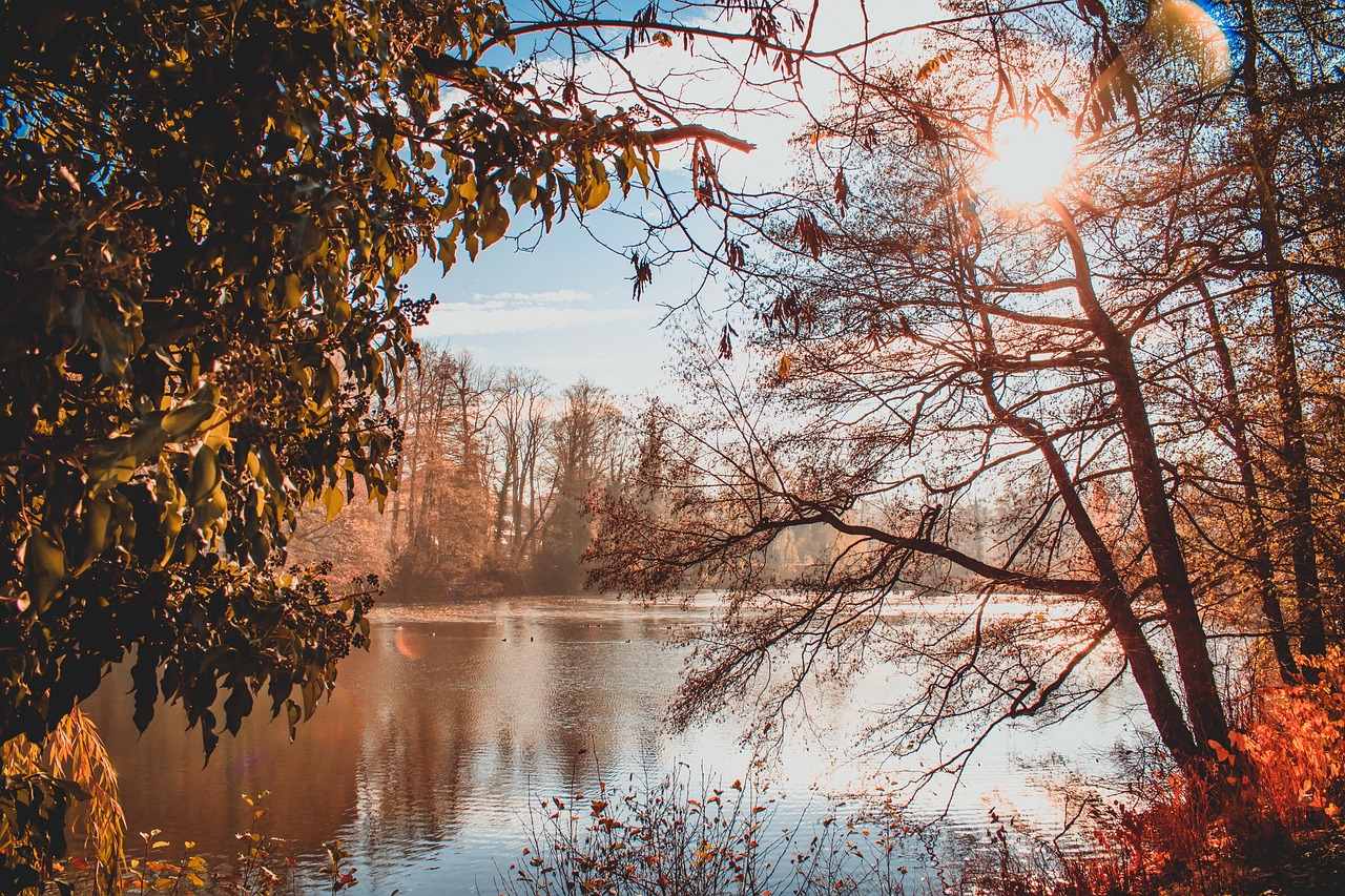 Pond, park, sun — Casino non AAMS in Italia come riconoscere quelli affidabili.3018 (2)