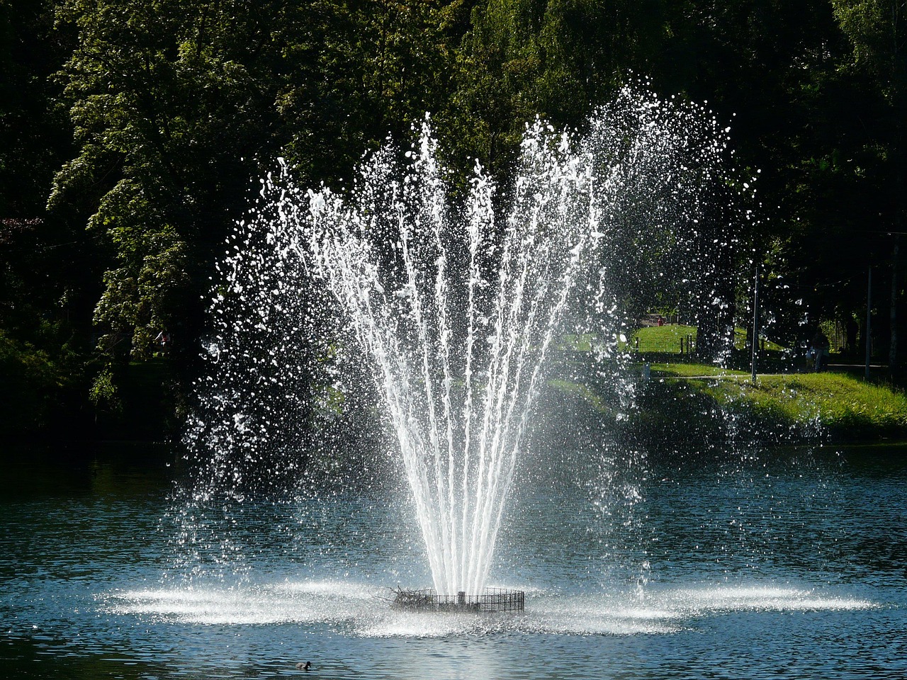 Fountain, nature, water — Instance demonstration versions are useful to have trying out a great-online game before gambling c