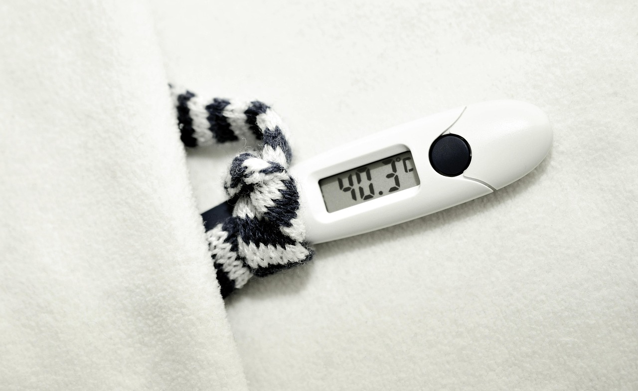 Clinical thermometer, fever, disease — "Maximizing Value with Window Replacement in Layton: Key Considerations"
